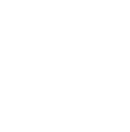 Pet Friendly